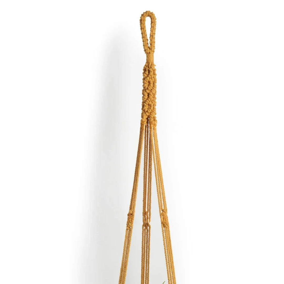Elegant Macrame Ceiling Plant Holder Intricate Handcrafted Design